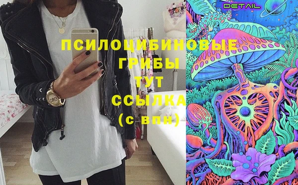 хмурый Алексеевка